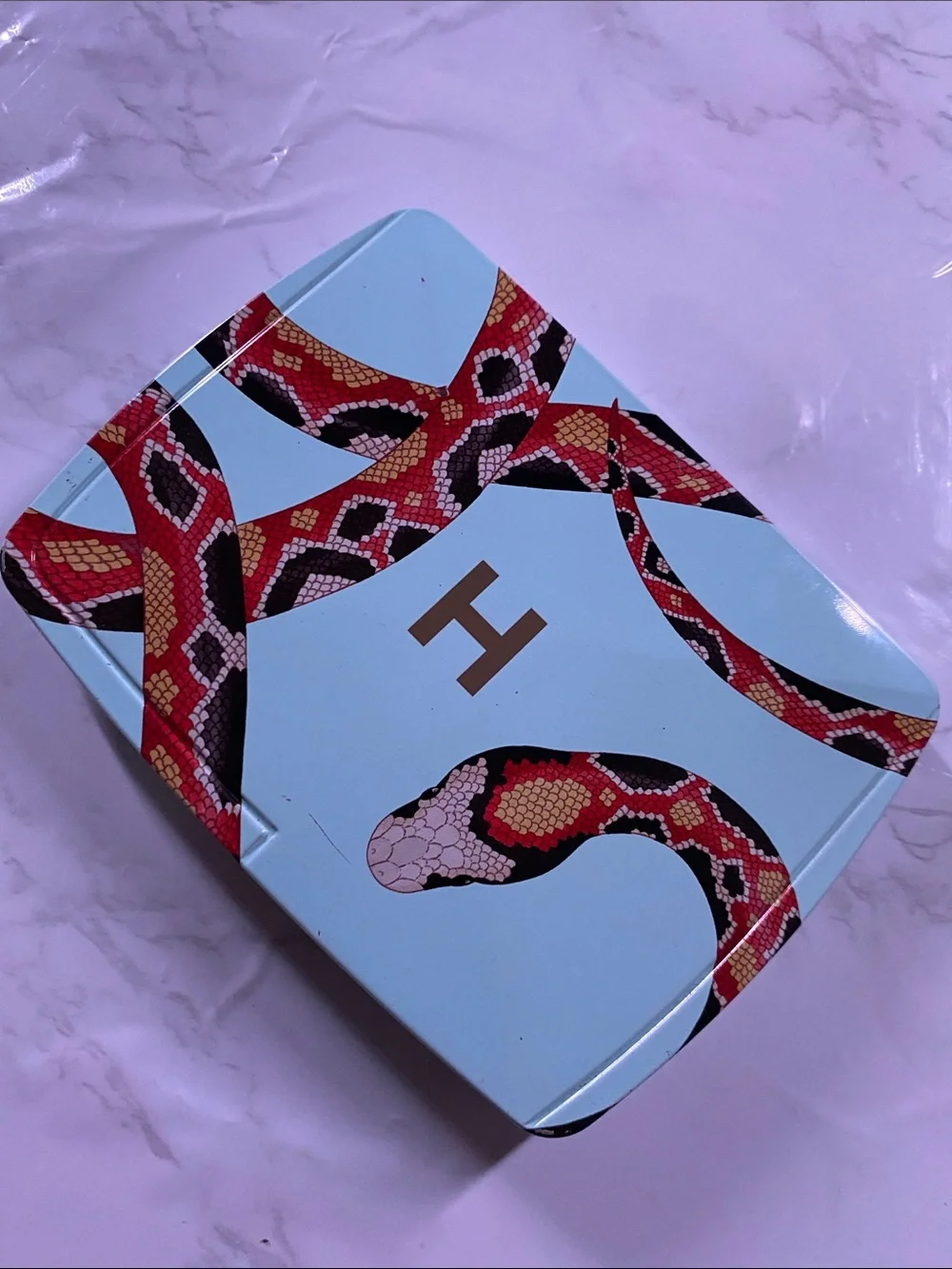 Light Blue Snake-Print Jewelry Box with Gold 'H' Accent
